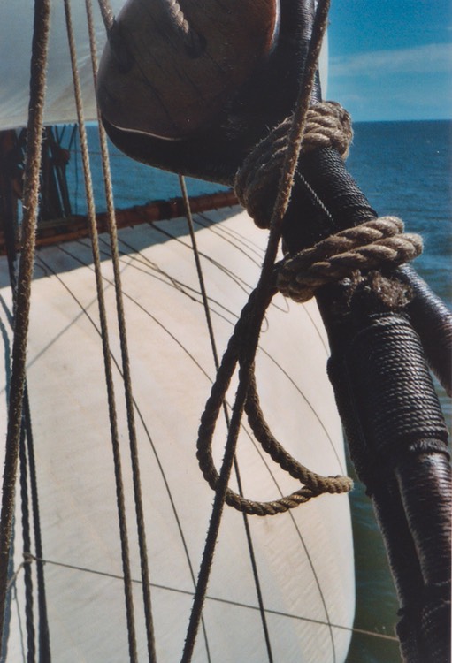 kNitB